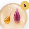 Hyaluronic Acid