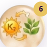 Vitamin D3 + K2